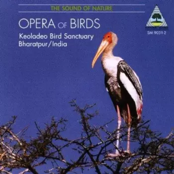 Peter Pannke: Opera of Birds