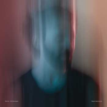 CD Peter Silberman: Impermanence
