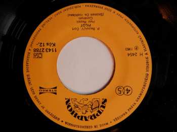 SP Petr Rezek: Krásná A Líná / Pilot