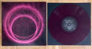 LP Mr. Peter Hayden: Osiris Hayden CLR | LTD