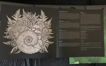LP The Ocean: Phanerozoic I: Palaeozoic LTD | CLR