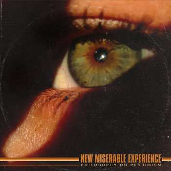 LP New Miserable Experience: Philosophy on Pessimism