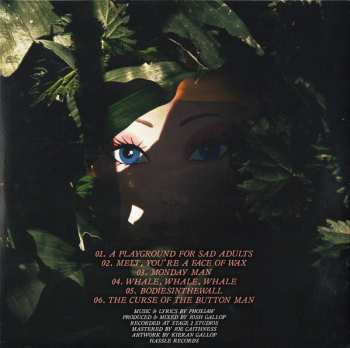 2LP Phoxjaw: Goodbye Dinosaur... / A Playground For Sad Adults LTD | CLR