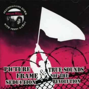 CD Picture Frame Seduction: Skateboarding Down Merlins Hill With Penny Harry