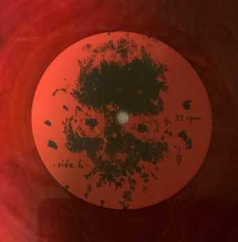 2LP Pig Destroyer: Terrifyer CLR