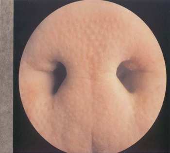 CD Pig: Pigmata