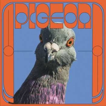LP Pigeon: Yagana