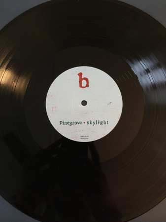 LP Pinegrove: Skylight