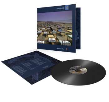 LP Pink Floyd: A Momentary Lapse Of Reason