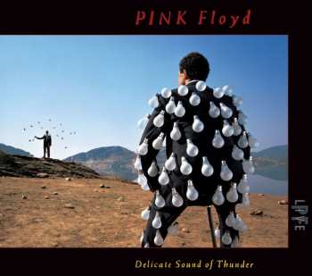 2CD Pink Floyd: Delicate Sound Of Thunder DIGI