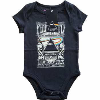 Merch Pink Floyd: Kinder Body Carnegie Hall Poster 