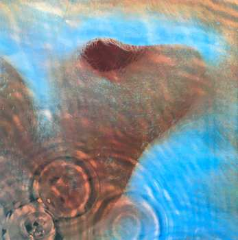 LP Pink Floyd: Meddle
