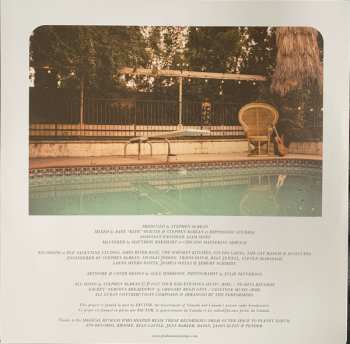 LP Pink Mountaintops: Peacock Pools CLR | LTD