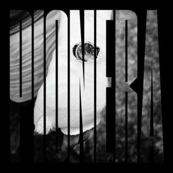 Album Pionera: Bolsa De Piedras