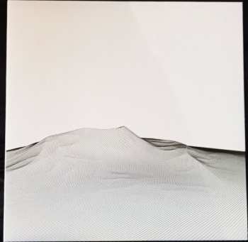 2LP Piston Damp: Making The World Great Again