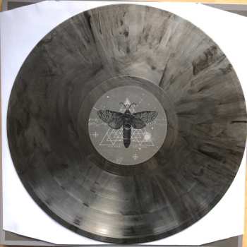 LP Pixie Ninja: Hypnagogia CLR | LTD
