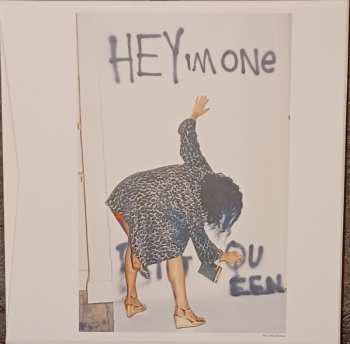 6LP/Doos PJ Harvey: B-Sides, Demos & Rarities LTD
