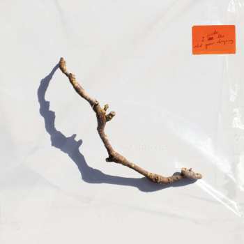 Album PJ Harvey: I Inside The Old Year Dying