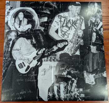 LP Placement: Insect LTD | NUM