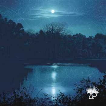 LP Planes Mistaken For Stars: Do You Still