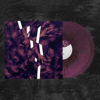 2LP Plebeian Grandstand: Rien Ne Suffit CLR
