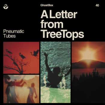 CD Pneumatic Tubes: A Letter From TreeTops