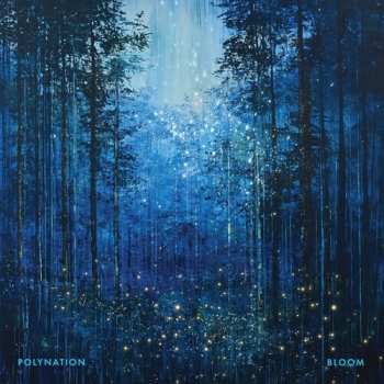 LP Polynation: Bloom CLR