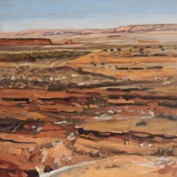 LP Possum Moods: Northern Times