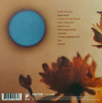 LP Postdata: Run Wild LTD