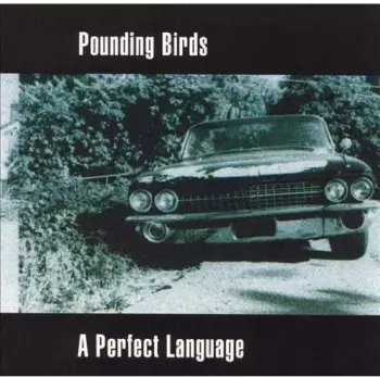 Pounding Birds: A Perfect Language