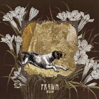 Album Prawn: Run