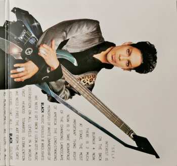 2LP Prince: Welcome 2 America