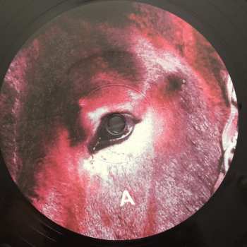 LP Protomartyr: Ultimate Success Today