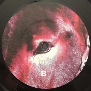 LP Protomartyr: Ultimate Success Today