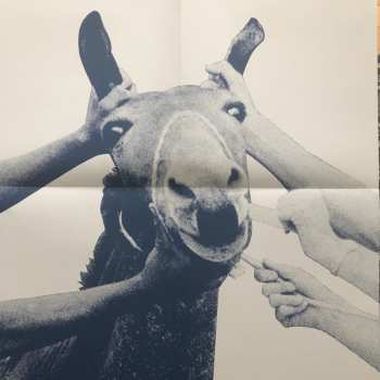 LP Protomartyr: Ultimate Success Today