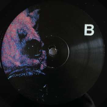 LP Protomartyr: Under Color Of Official Right 