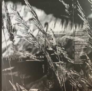 3LP Prurient: Frozen Niagara Falls