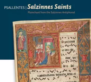 Salzinnes saints