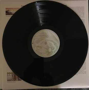 LP Pulp: We Love Life