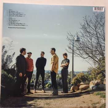 LP Punch Brothers: All Ashore