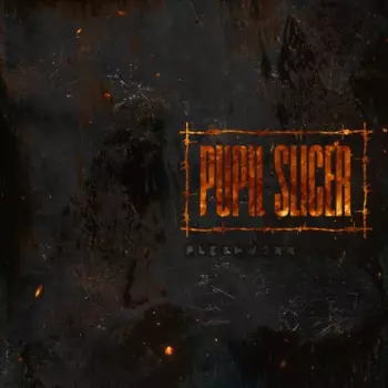 PUPIL SLICER: Fleshwork