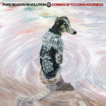 CD Pure Reason Revolution: Coming Up To Consciousness