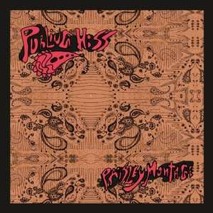 LP Purling Hiss: Paisley Montage