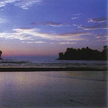 CD Quantic: Magnetica