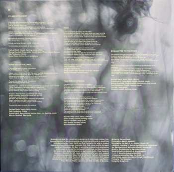 LP Rachael Dadd: Flux