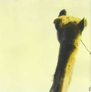 CD Rachid Taha: Diwân