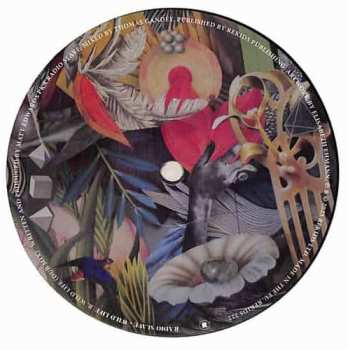 LP Radio Slave: Wild Life