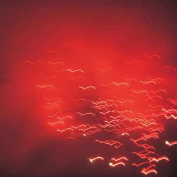 Album Rafael Toral: Violence Of Discovery And Calm Of Acceptance