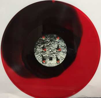 LP Rafter Roberts: Xyz