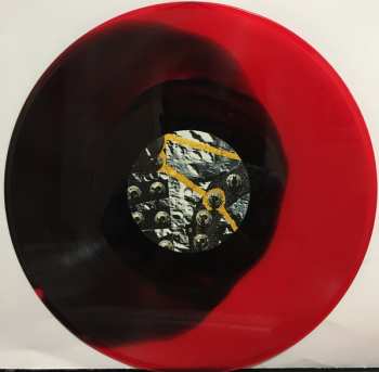 LP Rafter Roberts: Xyz